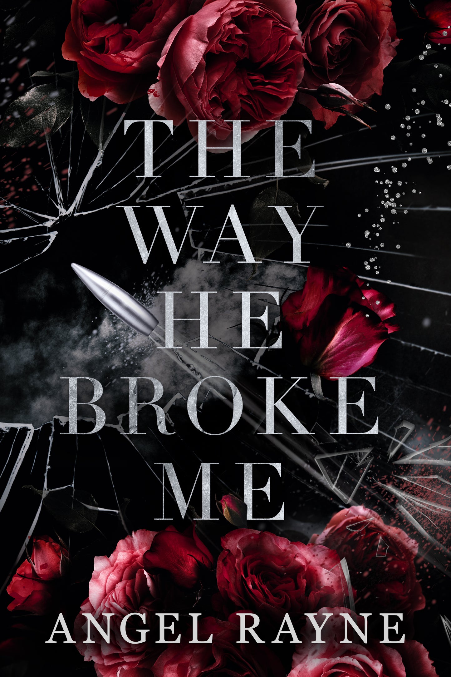 The Way He Broke Me (EBOOK)