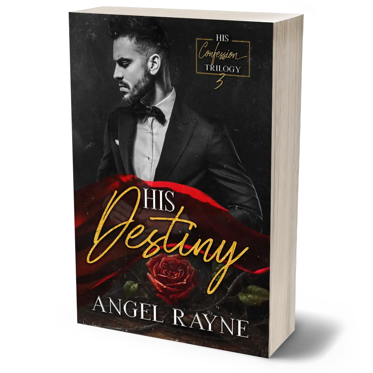 His Destiny Paperback, Dark Mafia Romance